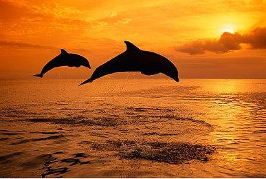 《星空》重大更新突然推迟发布 因为发现新的问题